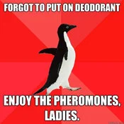 Socially Awesome Penguin — Penguin on red background with text about forgetting deodorant and enjoying pheromones.