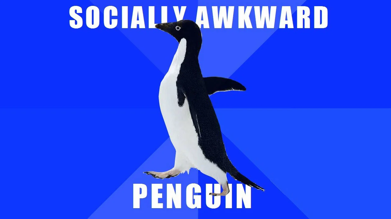 Iconic Adélie penguin on blue background with white Impact text reading 'SOCIALLY AWKWARD PENGUIN'.