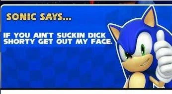 Sonic Says  2 — Sonic Says meme with explicit humor text in blue loading screen format.