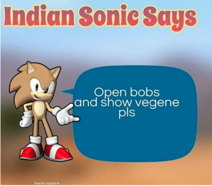 Sonic Says  2 — Indian Sonic Says variant in speech bubble format with comedic internet dialect text.