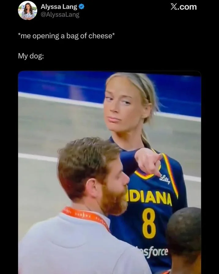 Sophie Cunningham Pointing — Tweet using Sophie Cunningham staring image captioned about a dog reacting to a cheese bag