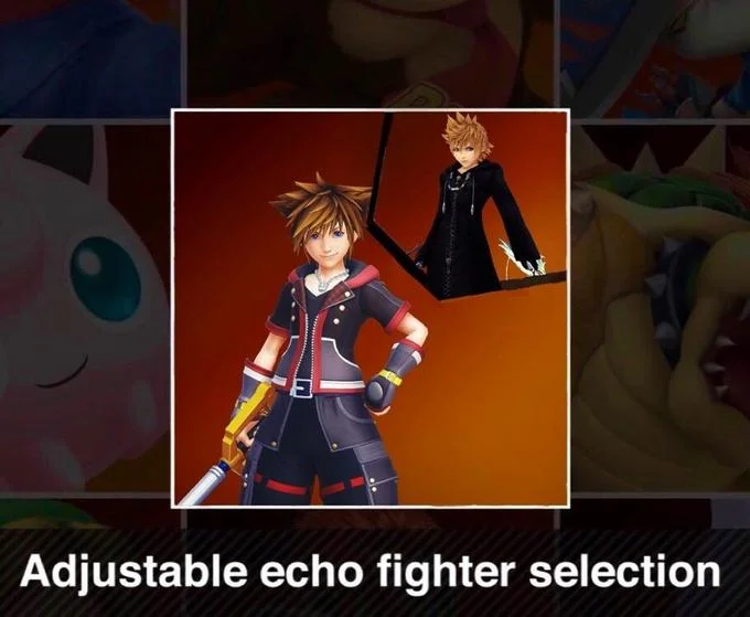 Sora In Super Smash Brothers — Character select mockup with Sora and Roxas labeled 'Adjustable echo fighter selection'
