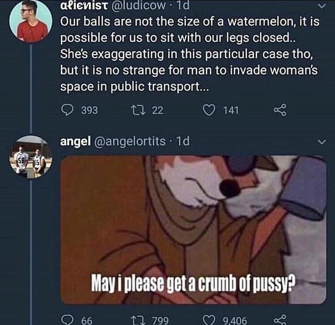 Spare Coochie — Twitter reply featuring the beggar fox 'crumb of pussy' meme image below a longer tweet