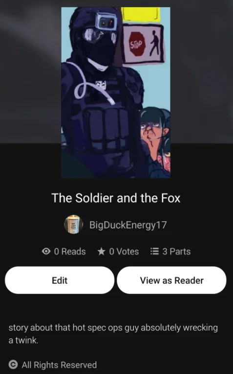 Spec Ops Guy — Wattpad story page 'The Soldier and the Fox' featuring illustrated spec ops officer and fox character.