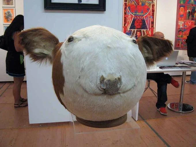 Sphere Cow — Full view of the spherical cow head sculpture displayed on a pedestal in a gallery