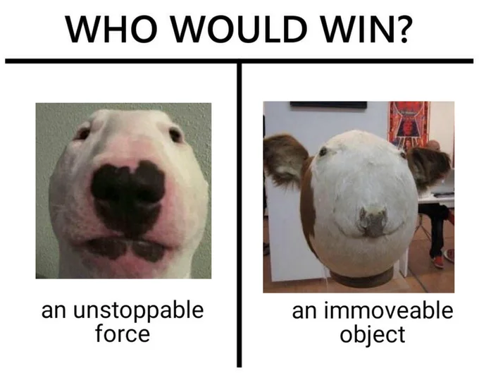 Who Would Win meme comparing a bull terrier and Sphere Cow