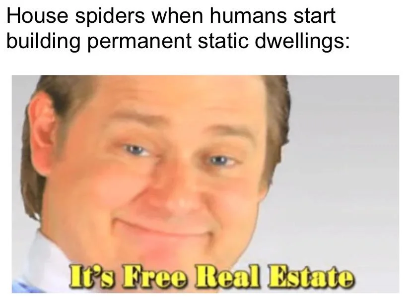 Spiders — Hand aiming a pistol at a spider on a wall with 'NOPE' caption