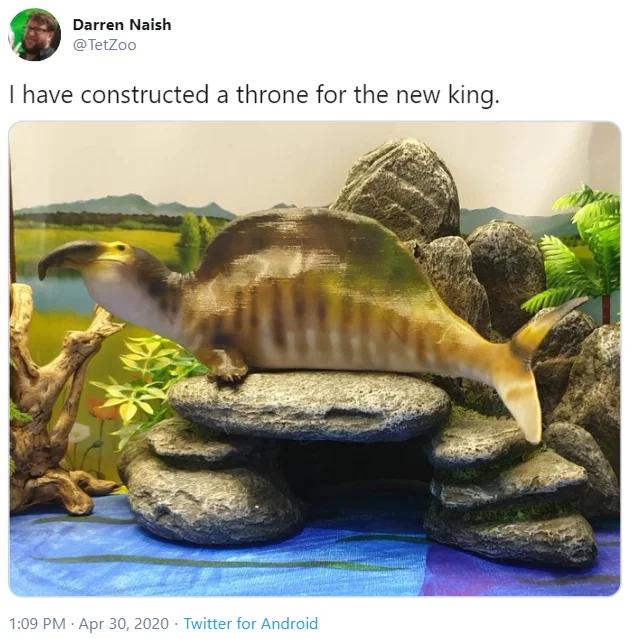 Spinofaarus Spinosaurus Nerf — Tweet screenshot with photo of Spinosaurus model on rocks captioned throne for the new king