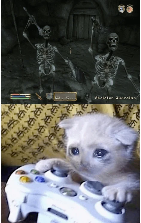 Spooky Scary Skeletons — Two-panel meme with Skeleton Guardians from Oblivion above and a crying kitten holding an Xbox controller below.