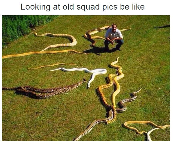 Person posed with multiple snakes on grass, captioned 'Looking at old squad pics be like.'