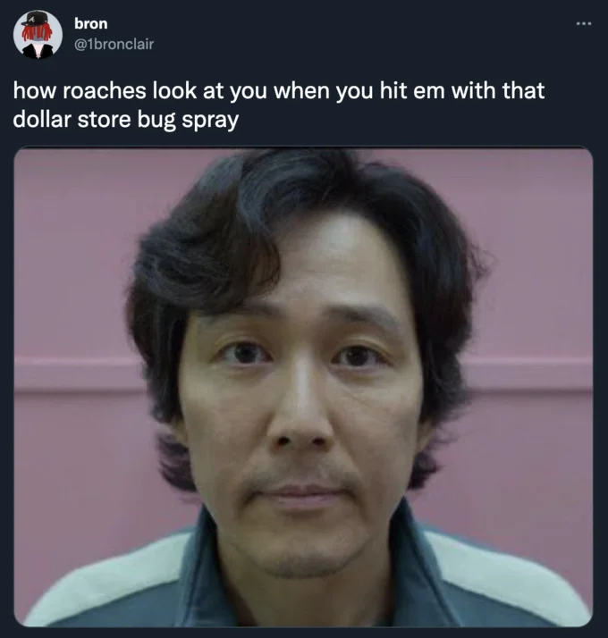 Squid Game Memes — Social media post featuring Squid Game character with text comparing roaches hit with cheap bug spray.