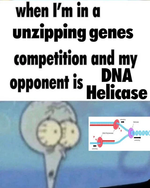 Squidward Tentacles — Bruh Squidward meme joking about DNA Helicase unzipping genes