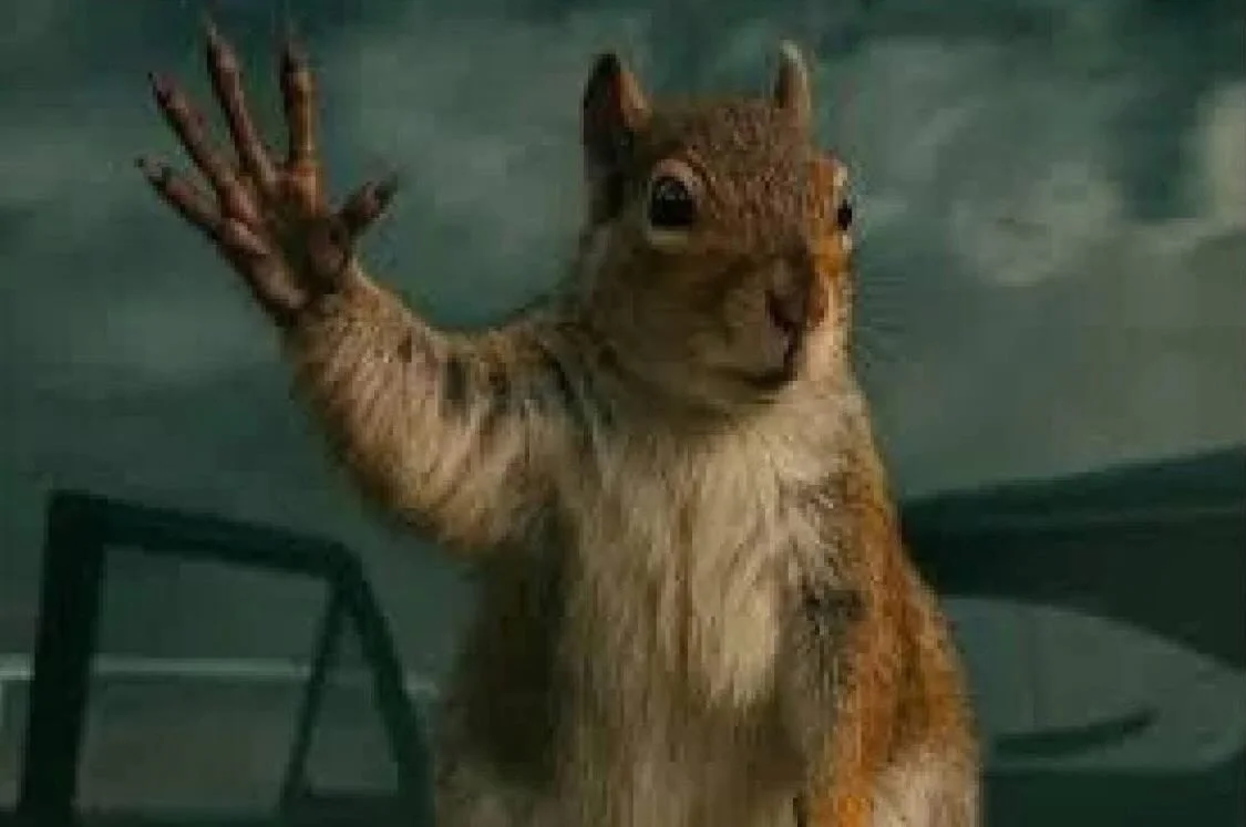 Squirrel Waving Bye In Tornado
