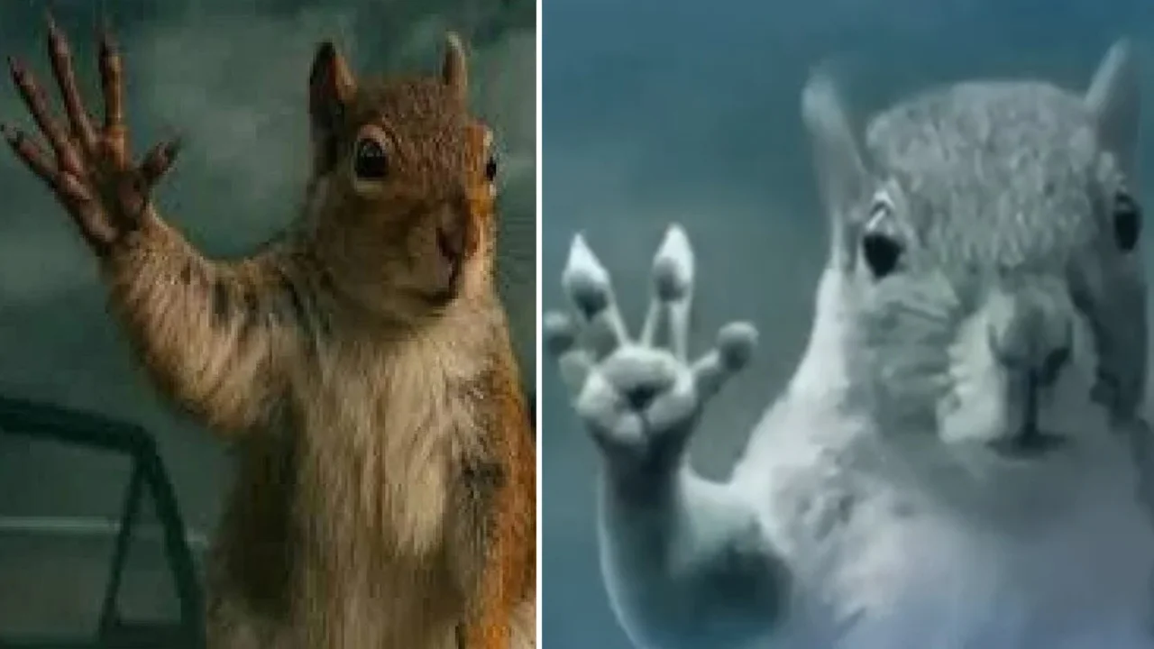 Squirrel Waving Bye In Tornado — Side-by-side of the Superman movie squirrel waving and the underwater tornado squirrel