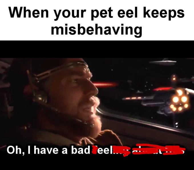 Star Wars Prequel Eels — When your pet eel keeps misbehaving Oh. I have a bad eel..