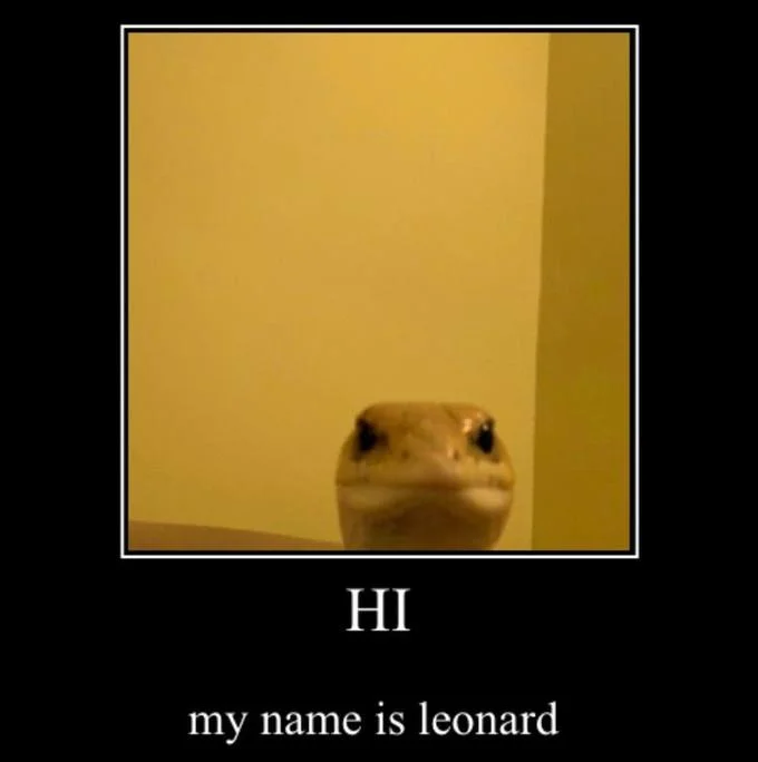 Staring Animals — Demotivational poster of a staring gecko labeled 'Hi my name is Leonard'