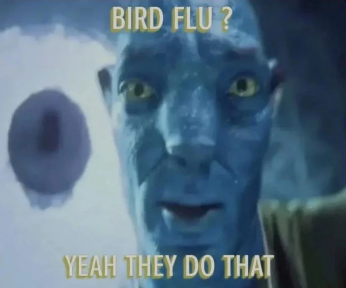 Staring Avatar Guy meme captioned 'Bird flu?' on top and 'Yeah they do that' on the bottom.