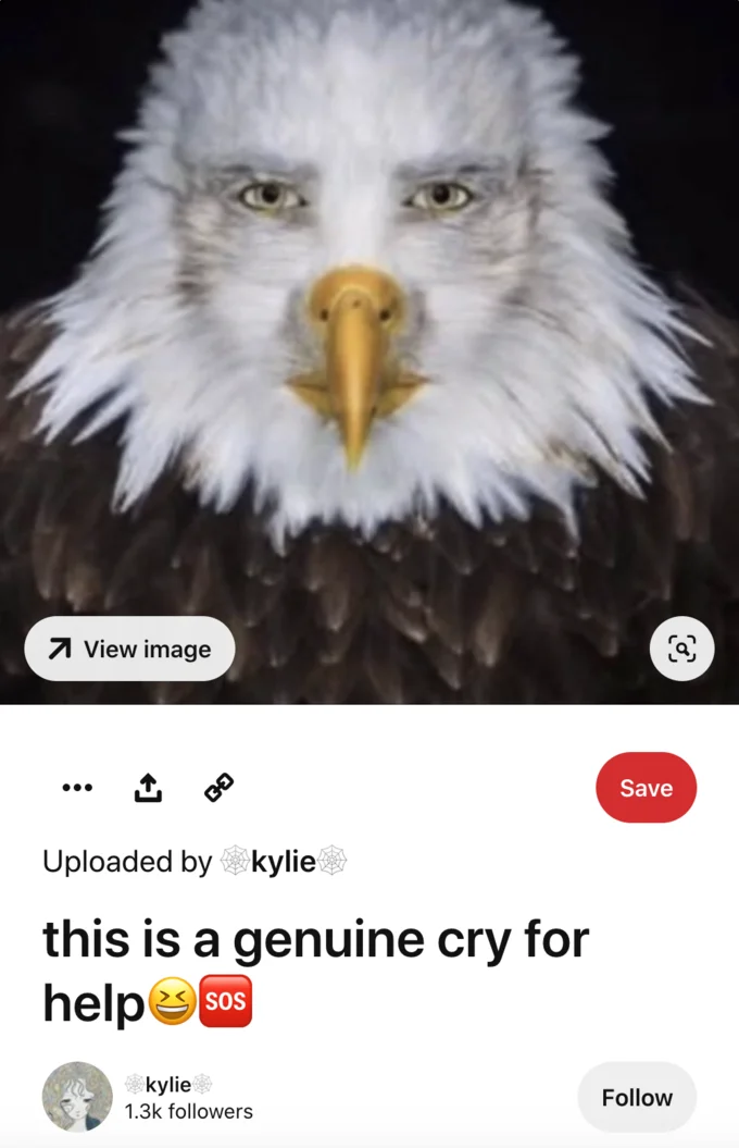 Staring Eagle Marvin Beak — Pinterest screenshot of the staring eagle meme captioned 'this is a genuine cry for help'
