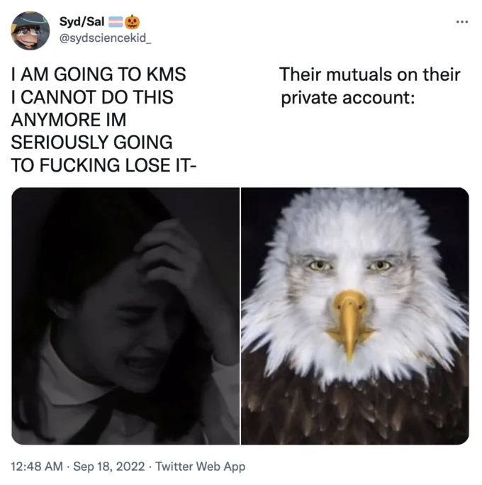 Staring Eagle Marvin Beak — Twitter meme comparing a crying woman to the warped staring eagle image