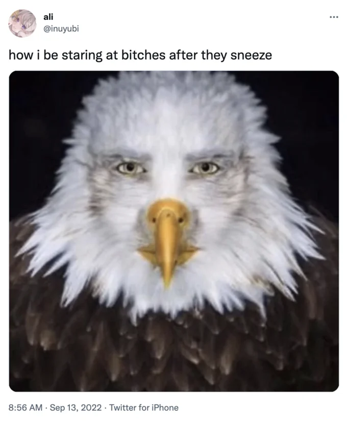 Staring Eagle Marvin Beak — Twitter meme with warped staring eagle captioned as a reaction to someone sneezing
