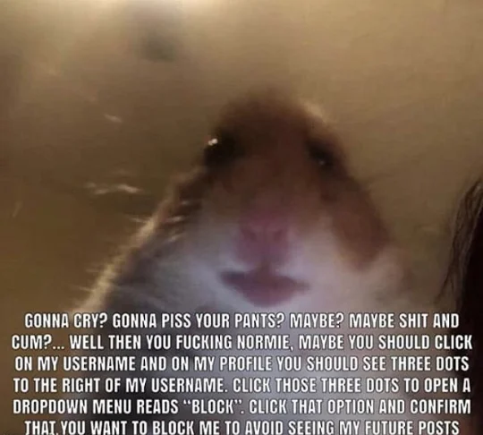 Staring hamster meme with 'Gonna cry?' block-me copypasta caption