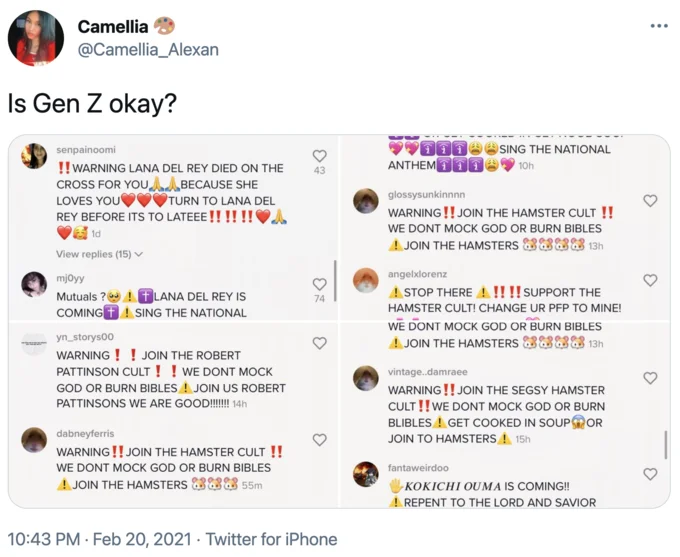 Staring Hamster — Tweet showing TikTok comments about the Hamster Cult versus Lana Del Rey fans