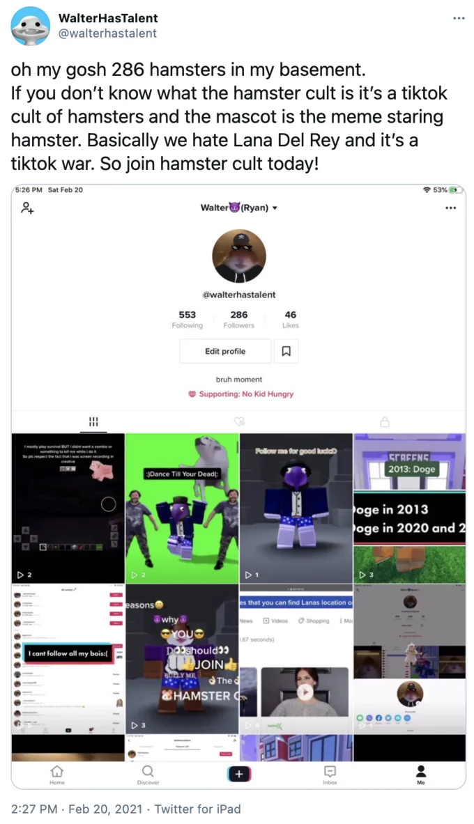 Tweet explaining the TikTok Hamster Cult with staring hamster mascot and screenshot of TikTok profile