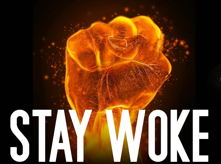 Fiery orange raised fist on black background with the text 'STAY WOKE' below in bold white letters.