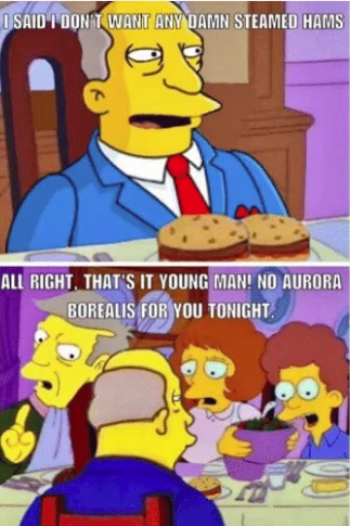 Drake meme format with Skinner showing disapproval of hamburgers and approval of steamed hams.