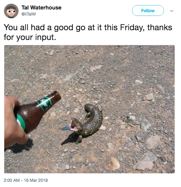 Stephen Hawking — Tweet parodying Kirstie Alley's Hawking tribute with a photo of a lizard biting a beer bottle