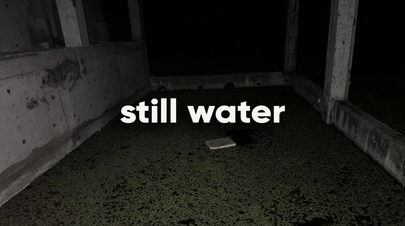 Dark nighttime photo of a concrete pool covered in green duckweed with the words 'still water' overlaid in white text.