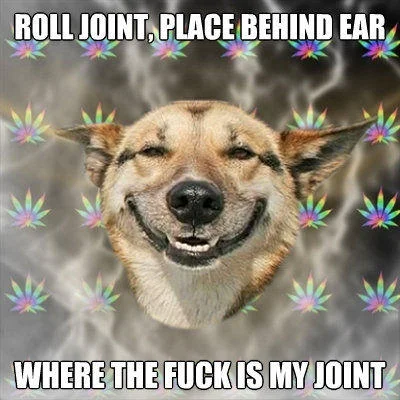 Stoner Dog meme with impact font text