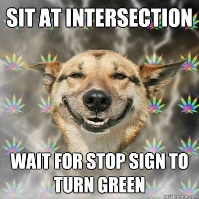 Stoner Dog meme in advice animal format