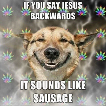 Stoner Dog meme with text caption overlay