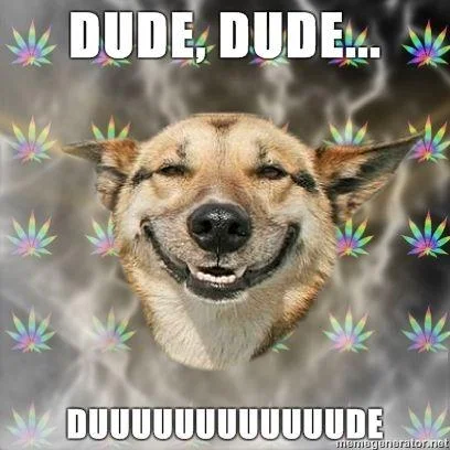 Stoner Dog meme with 'DUDE' caption text