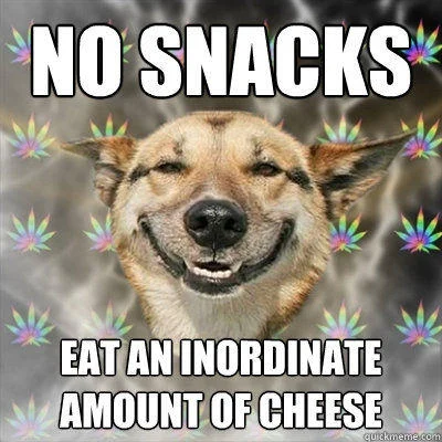 Stoner Dog advice animal meme with caption