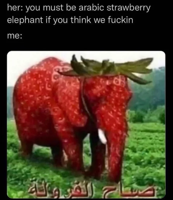 Deep-fried, over-saturated version of the strawberry elephant meme.