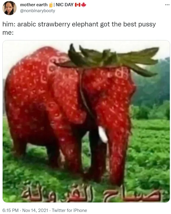 Purple 'her/me' relationship meme using the strawberry elephant as the punchline.