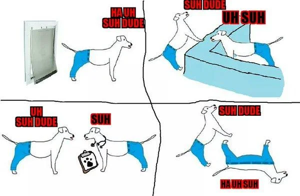 Four-panel illustrated comic of cartoon dogs in blue shorts labeled with variations of Suh Dude.