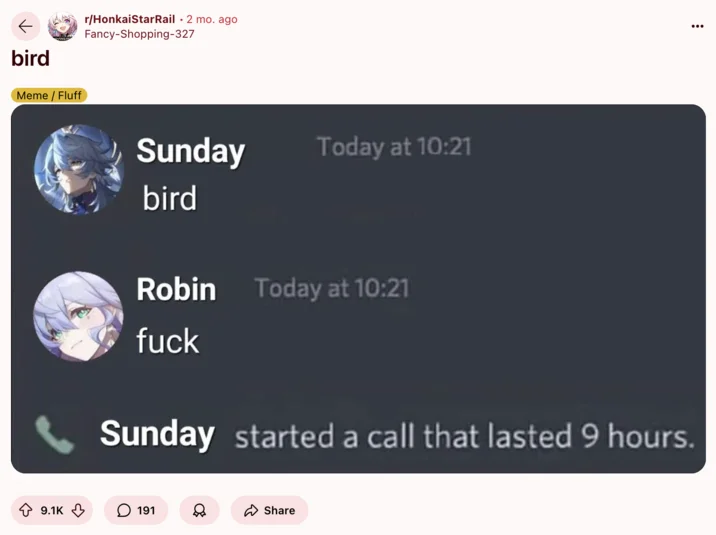 Sunday's "Charmony Dove" Copypasta — Mock chat screenshot where Sunday says 'bird', Robin replies 'fuck', followed by a 9-hour call starting between them.