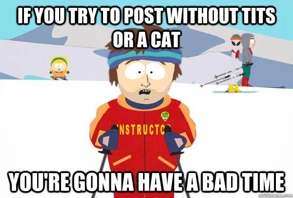 Super Cool Ski Instructor — IFYOUTRY TOPOST WITHOUTTITS ORACAT NSTRUCTC. YOURE GONNA HAVEABAD TIME