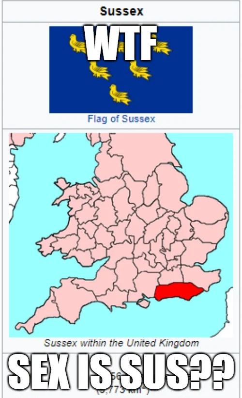 Sus Amogus — Meme about Sussex county confused with 'sus' slang with flag symbol and WTF text.