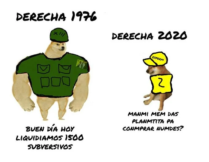 Swole Doge vs Cheems — Swole Doge in military uniform references 1976 Argentine military dictatorship, while Cheems labeled 'Derecha 2020' makes trivial online