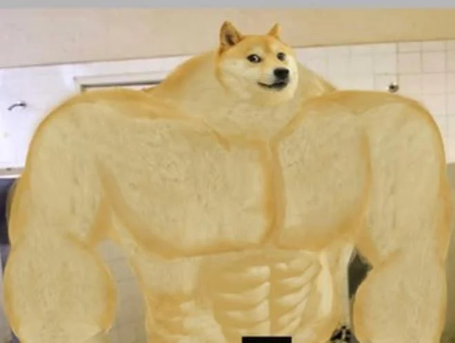 Photograph of three-dimensional Swole Doge cosplay or art installation with muscle definition.