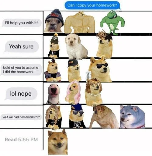 Vertical alignment meme showing homework copy request with Swole Doge among various character responses.