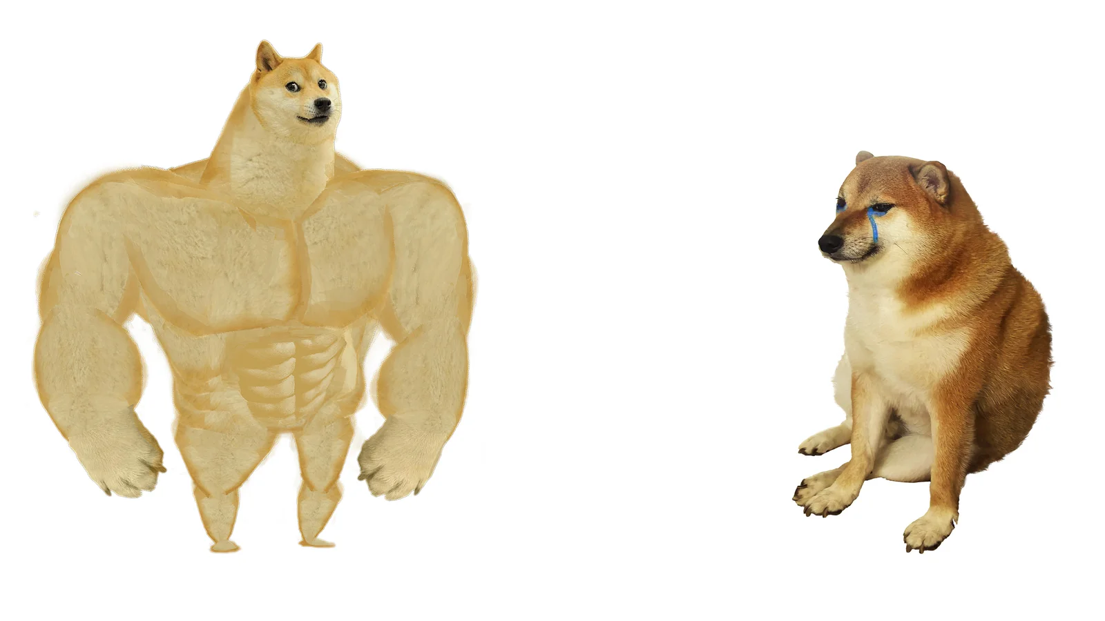 Minimal two-panel template with Swole Doge and normal Shiba Inu on white background.