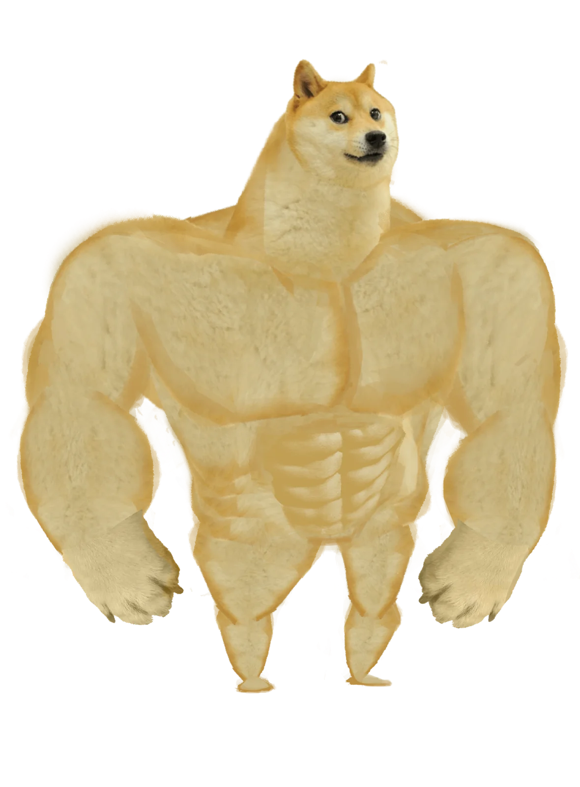 Swole Doge — Clean template of Shiba Inu with exaggerated muscular build and defined abs on black background.