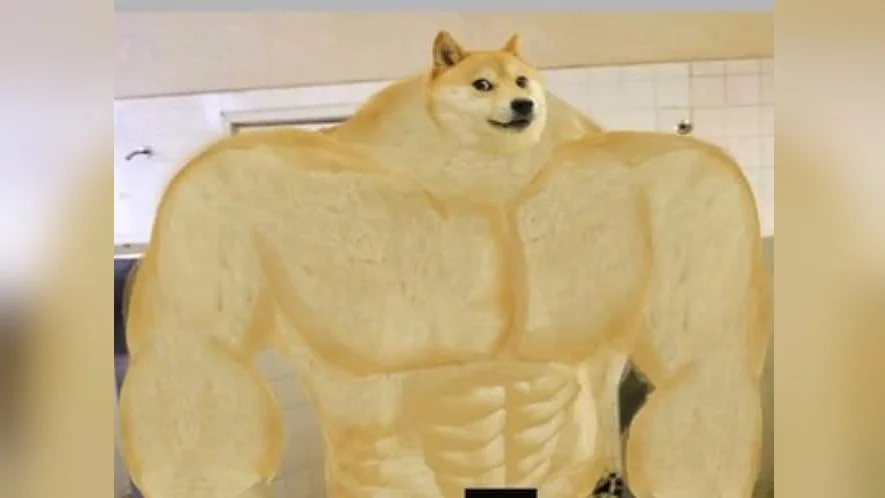 Well-lit photograph of Swole Doge with impressive muscular physique and clear muscle definition.