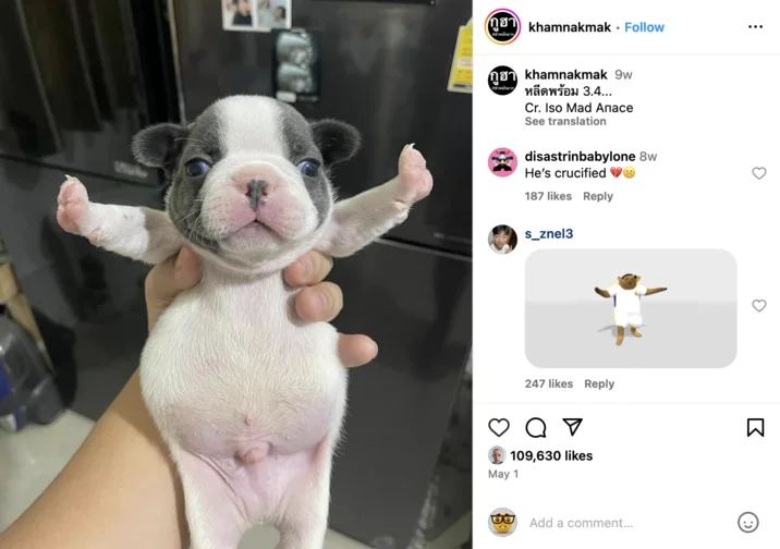 Instagram screenshot of khamnakmak's original T-pose puppy post with likes and comments visible