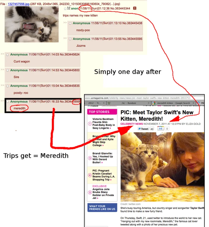 Taylor Swift Is a 4chan User Conspiracy Theory — 4chan thread about naming a kitten next to US Magazine article about Taylor Swift's cat Meredith.